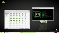 LMDE2 IceWM + PcManFM