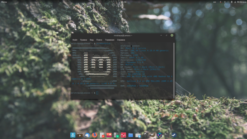 Screen