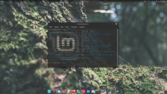 Screen