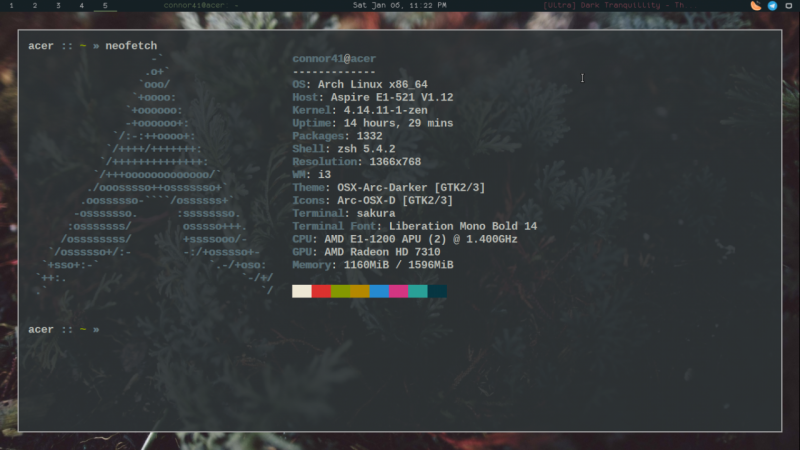 Arch + i3-gaps)