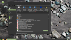 Linux Mint VirtualBox