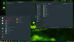 Linux Mint 19 Cinnamon + Adapta Themes