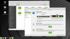 Linux Mint 19.1 Cinnamon