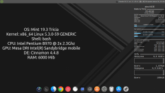 Linux Mint 19.3 Tricia Cinnamon