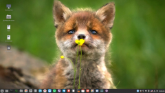 FOX