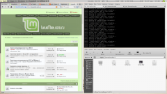 LMDE2 + i3-gaps