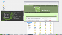Cinnamon3.4 наряженный под WinXP (LM 18.2 Beta)